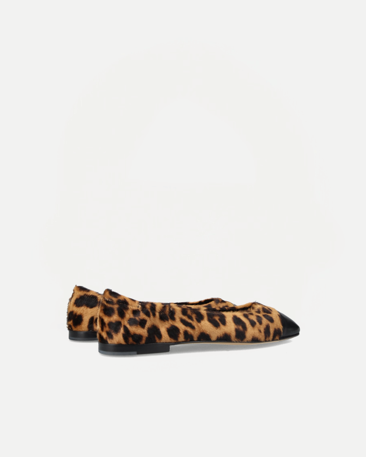 GIORGIA 0833E | Leo Camel