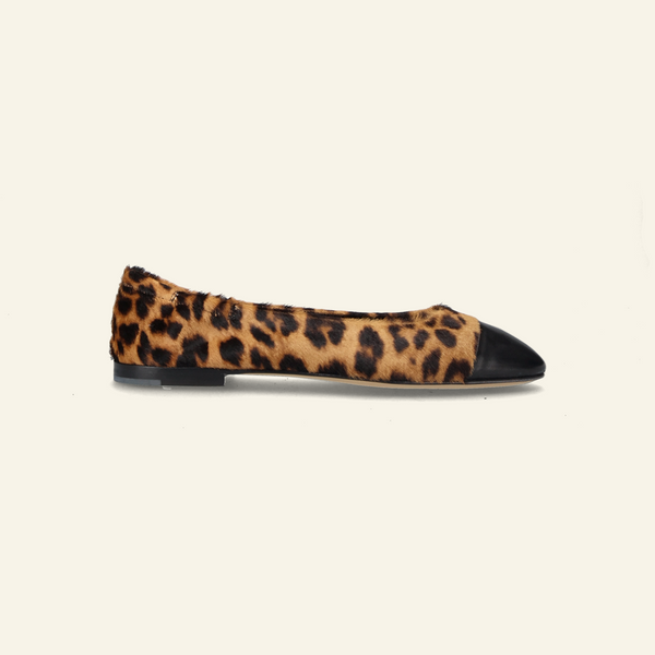 GIORGIA 0833E | Leo Camel