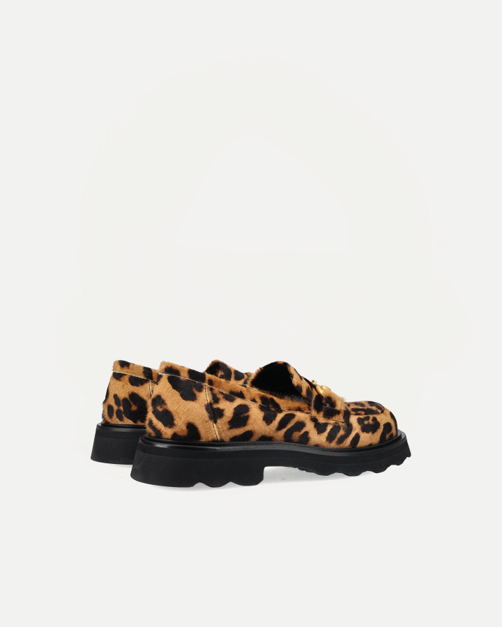 NICKY 2286A | Leo Camel