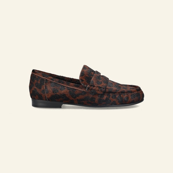 661Z91VK | Leopard