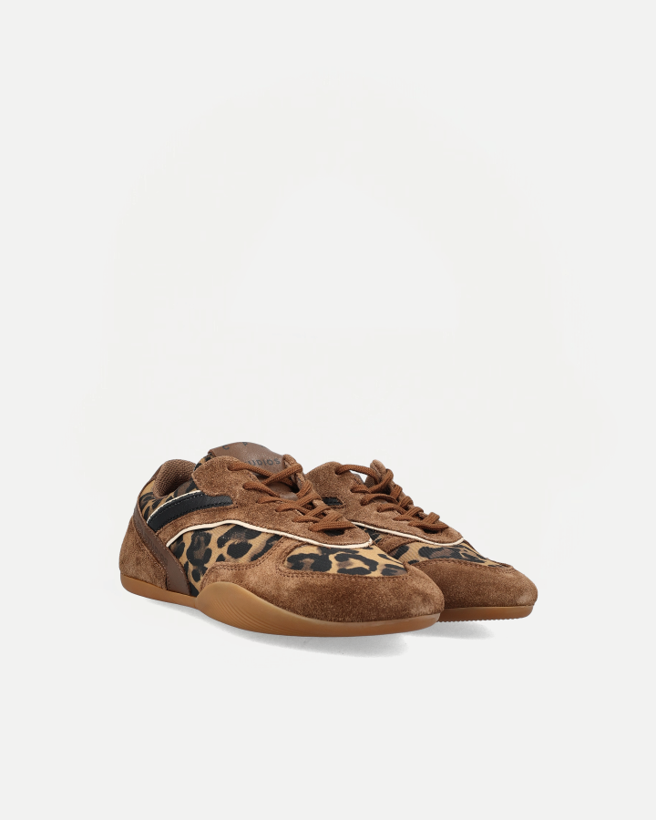 CPH650 | Leo