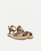 Nimes Leo | Leopard