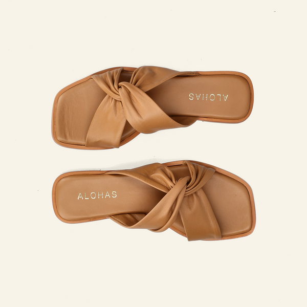 NOMAD | Camel